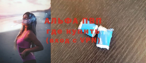 СК Алексин