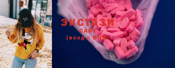 СК Алексин