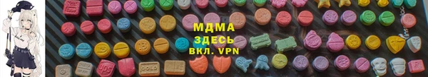 СК Алексин