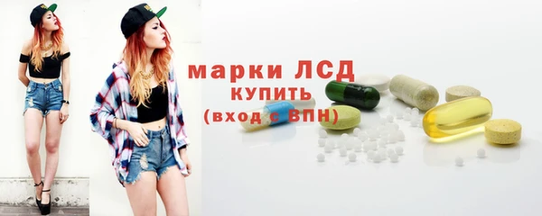 СК Алексин