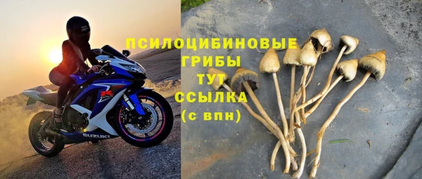 СК Алексин