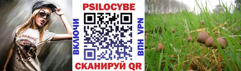 Псилоцибиновые грибы прущие грибы Новая Ладога