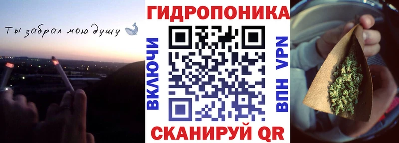 где купить наркотик Новая Ладога Каннабис AK-47